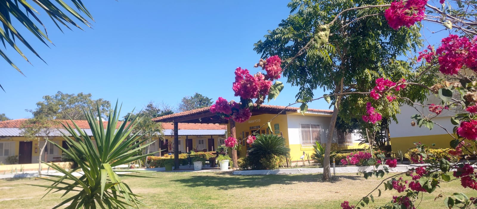 WhatsApp Image 2025-07-07 at 10.48.21.jpeg