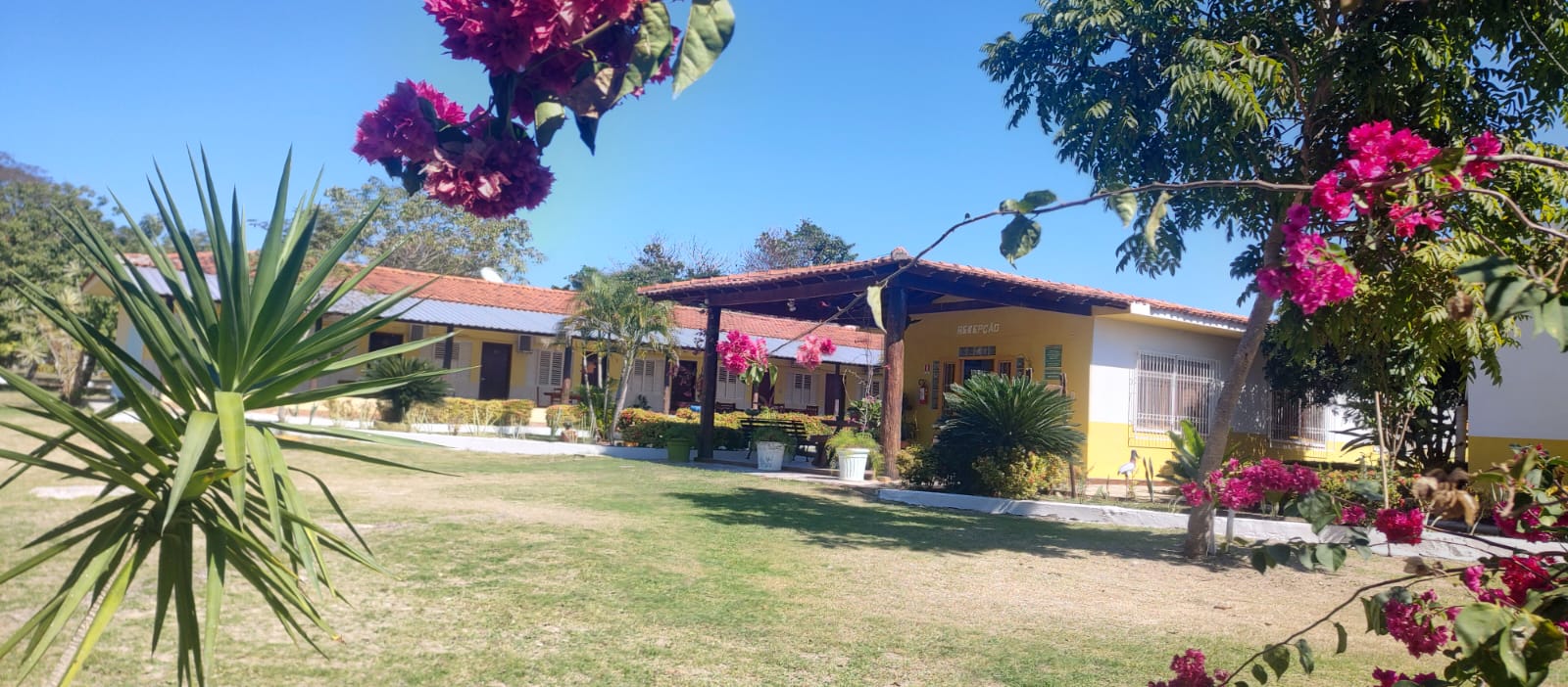 WhatsApp Image 2025-07-07 at 10.48.20 (1).jpeg