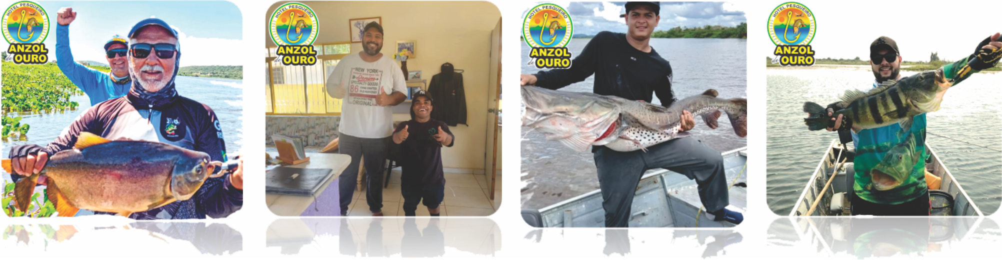 Peixes.png